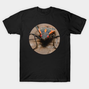 Boxelder Bug Macro Photograph T-Shirt